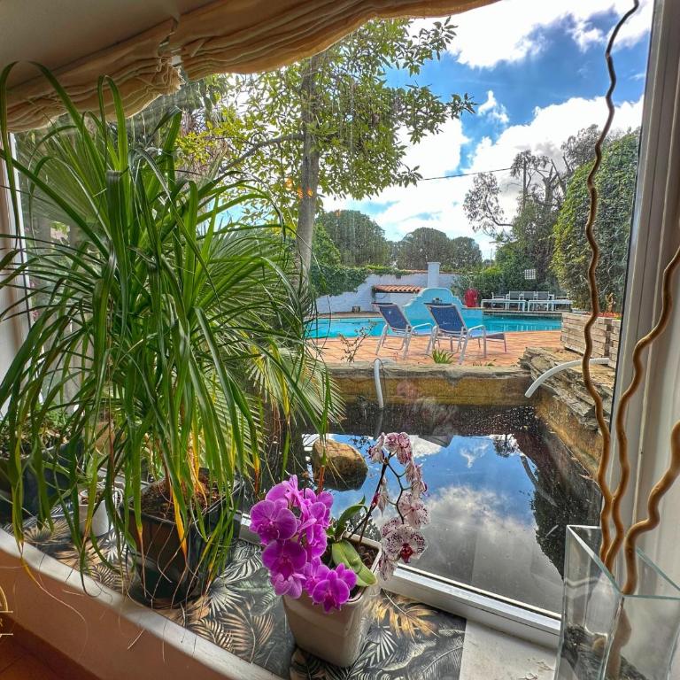 MAS M - Villa d'exception - Piscine - Jeux Enfants - BBQ - Plancha - Cheminée - Calme - 5 Chambres - SUDSEJOURCONCIERGERIE - Villa con Piscina Privata - 11