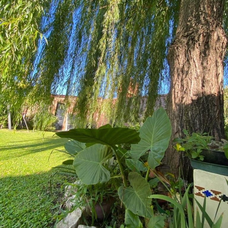 Chalet espectacular - One-Bedroom House - 4