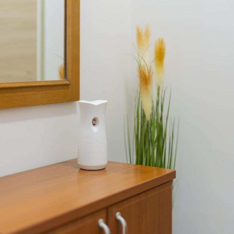 Duke Belgrade Apartment - Apartman sa 2 Spavaće Sobe - 8