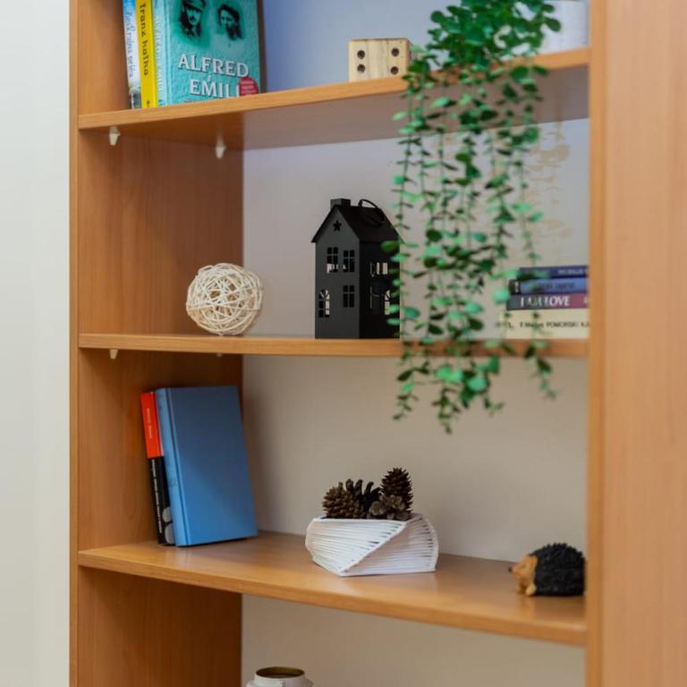 Duke Belgrade Apartment - Apartman sa 2 Spavaće Sobe - 22