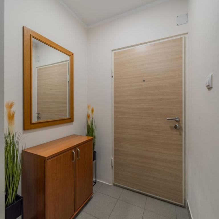 Duke Belgrade Apartment - Apartman sa 2 Spavaće Sobe - 28
