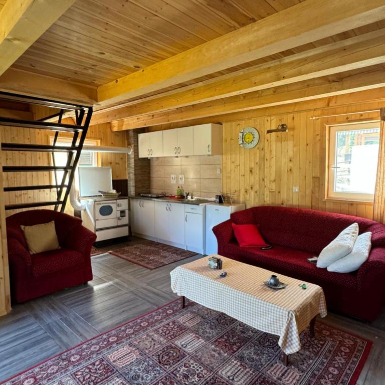 Zabljak Skiers House - Two-Bedroom House - 6