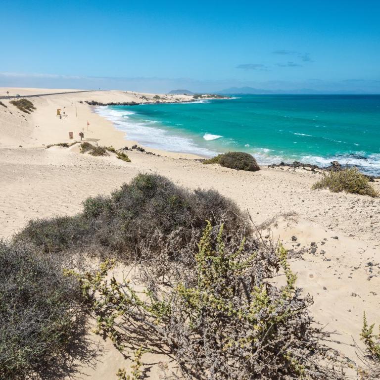 Home2Book Ocean Heaven Terrace & Pool in Corralejo - Apartamento de 1 dormitorio - 23