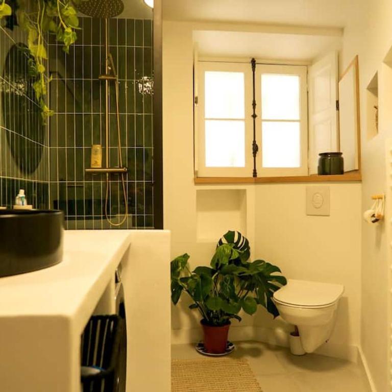 Chaleureux T2 en hyper centre de Toulouse - Appartement 1 Chambre - 10