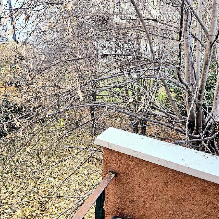 BELGRADE ROMANCE cozy spatious quiet - Apartman sa 2 Spavaće Sobe - 7