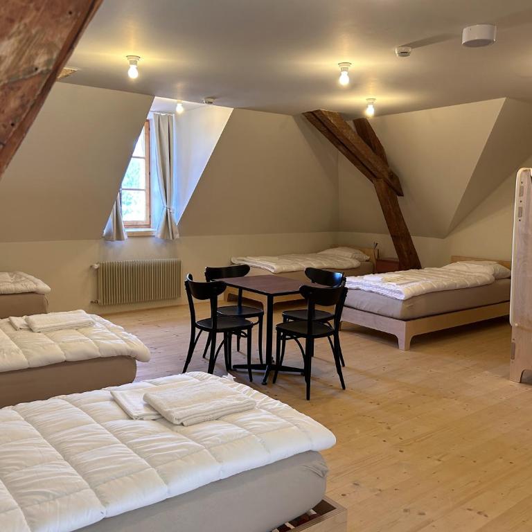 Grand Hotel du Cervin - Auberge de jeunesse et spa - Etagenbett im gemischten Schlafsaal - 5