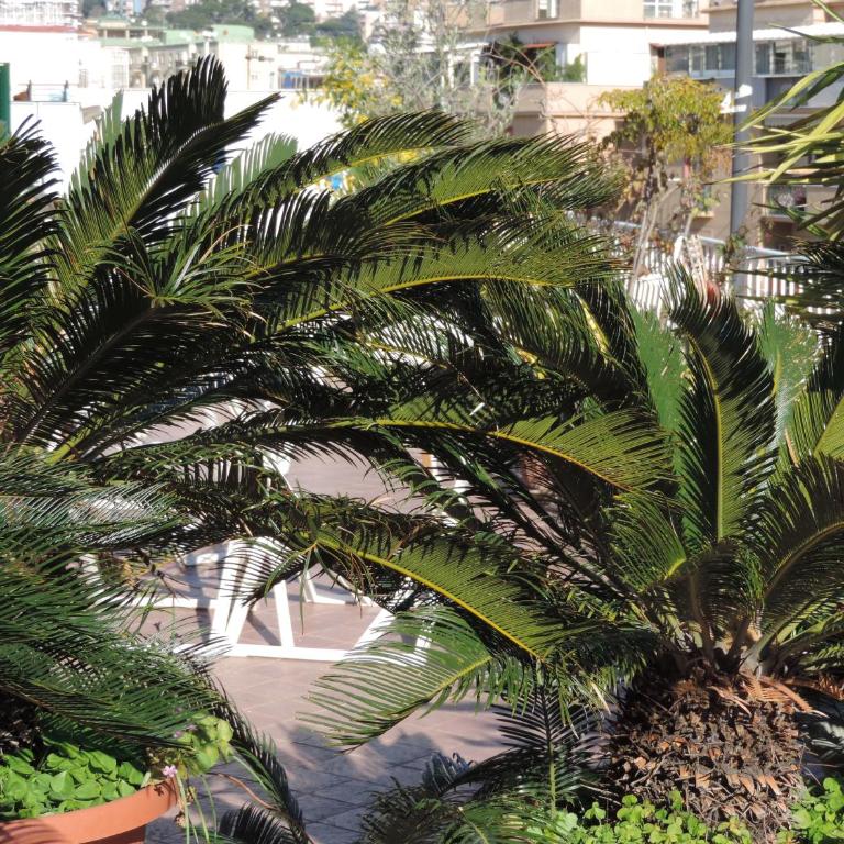 Sinfonia di Napoli - Appartamento con 1 Camera da Letto e Terrazza - 65