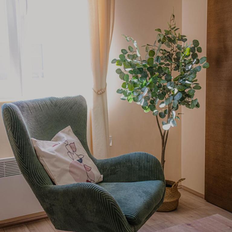 Angelina Art - Apartman sa 1 Spavaćom Sobom - 18