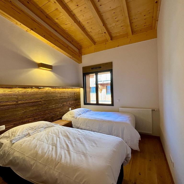 Grand T3 et Coin montagne - Central et lumineux - Appartement 2 Chambres avec Balcon - 13