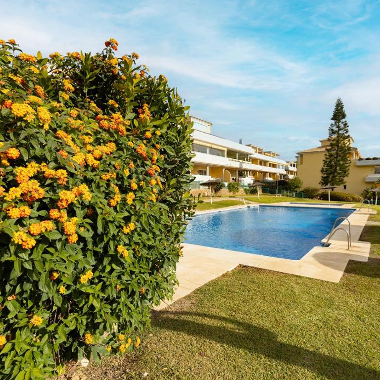 Mimosa Golf & Beach apartment - Apartment - 50