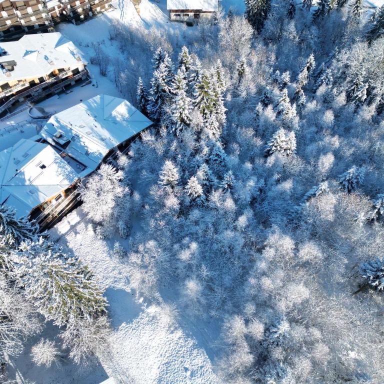 Le lodge de l alpage - Ski in ski out - 2 chambres 1 cabine - Appartement 3 Chambres Premium avec Balcon - 6