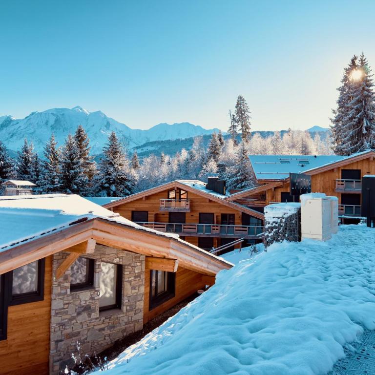 Le lodge de l alpage - Ski in ski out - 2 chambres 1 cabine - Appartement 3 Chambres Premium avec Balcon - 5