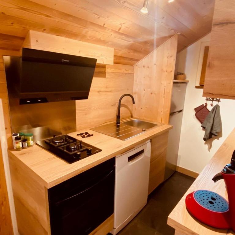 Charmant 3 pièces savoyard avec balcon, cheminée, proche commerces et remontées mécaniques - FR-1-459-18 - Appartamento (8 Adulti) - 6