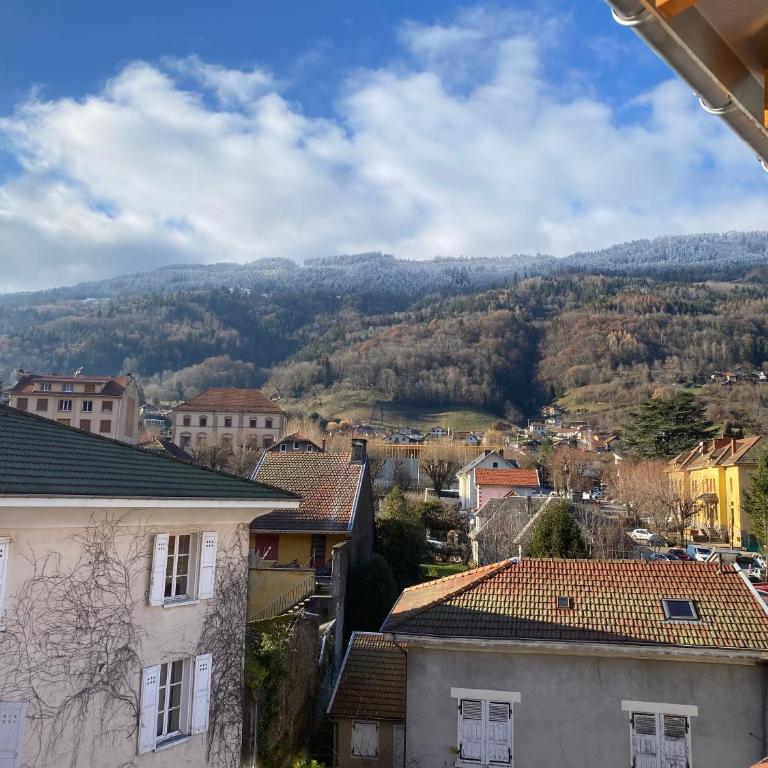 Grand T1 familial, vidéoprojecteur et superbe vue ! - Appartement 2 Chambres - 13