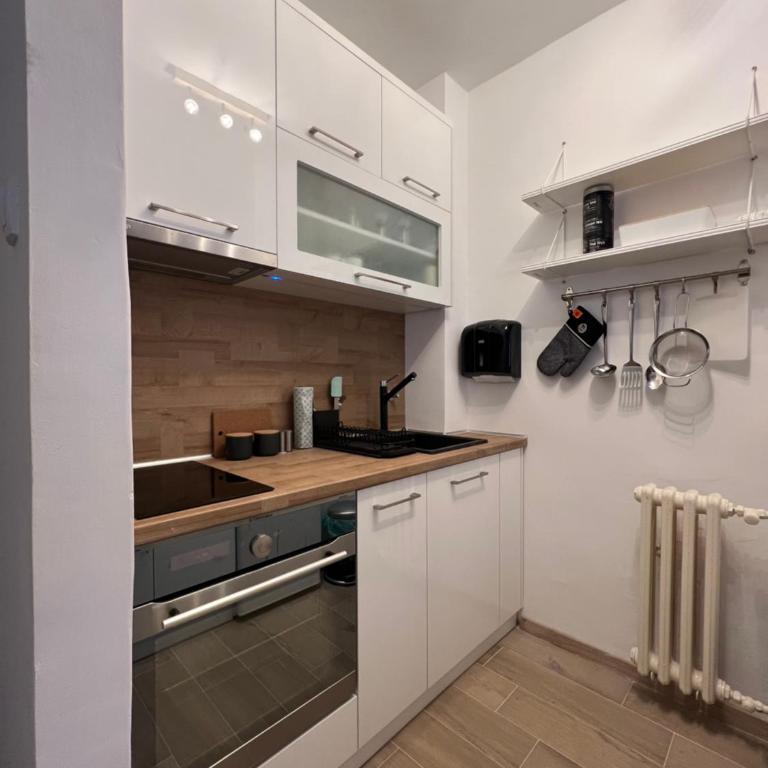 Savski trg - Apartman sa 1 Spavaćom Sobom - 6