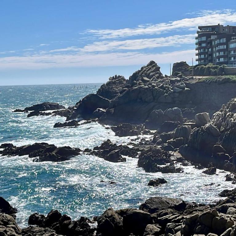 Roca Town House - Apartamento de 1 dormitorio - 21