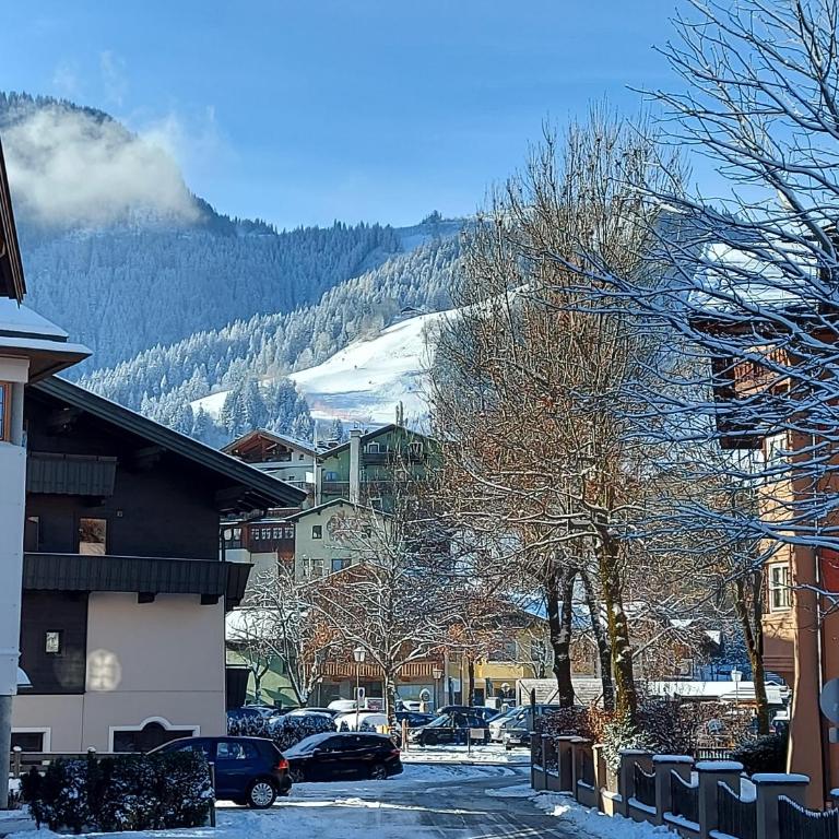 Gartenwohnung Ritter - Apartamento de 2 dormitorios - 28
