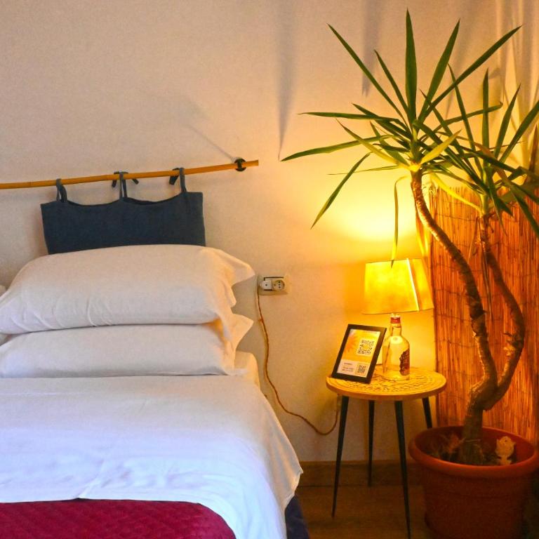 Sunrise Luxury - Junior Suite with Spa Bath - 8