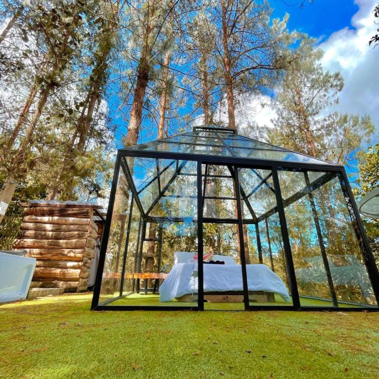 Glamping Ancestros Ecoparque - Suite Deluxe con bañera de hidromasaje - 4