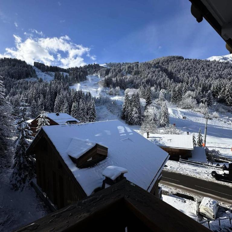 Résidence Eperviere - Appartement skis aux pieds 4 label Méribel MAE-0281 - Appartement - 12