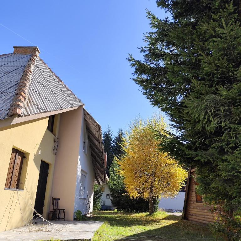 Kuća Drinčić - Two-Bedroom House - 53
