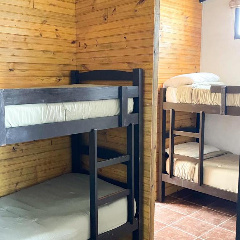 El Bonito Hostel - Bed in 8-Bed Dormitory Room - 1