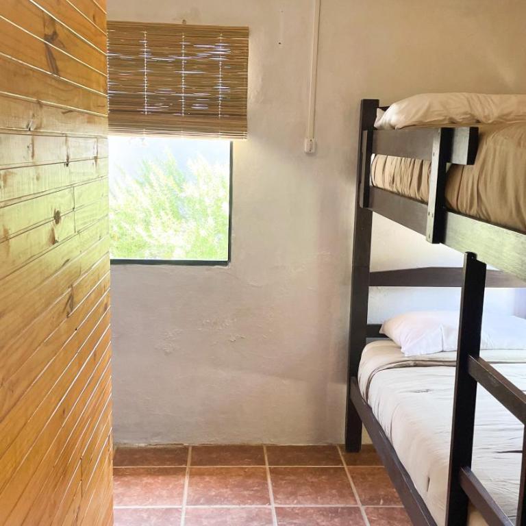 El Bonito Hostel - Bed in 8-Bed Dormitory Room - 2