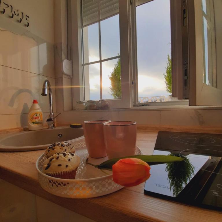 Lux Natural - One-Bedroom Apartment - 5