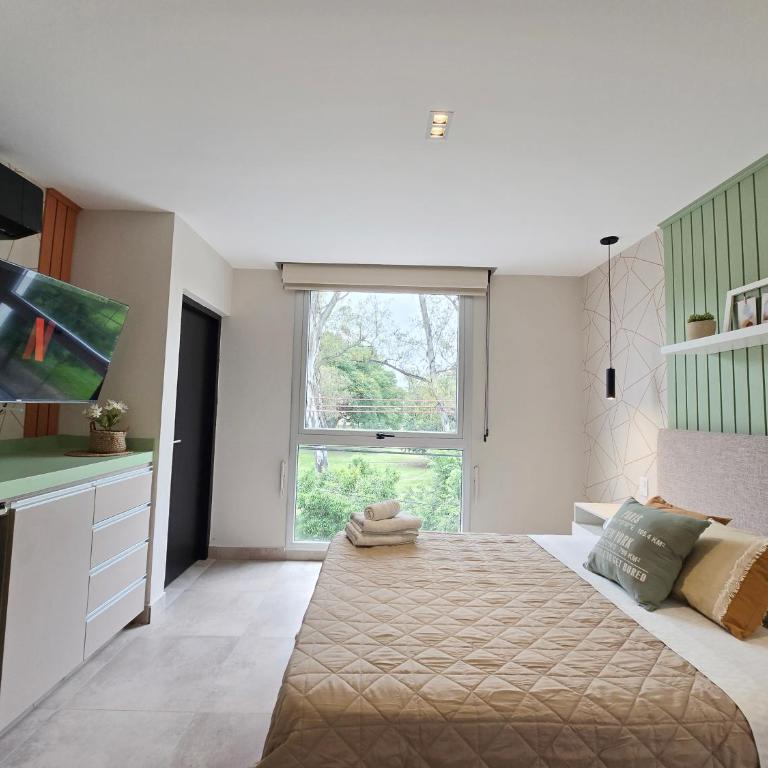 Hermoso dpto con vista al parque - Apartamento de 1 dormitorio - 7