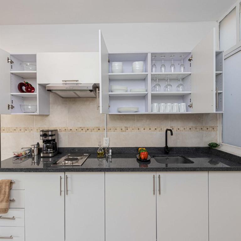 Apartamentos Ejecutivos, Lujo y Confort en el corazon de Polanco - Apartamento Superior con 3 dormitorios - 21