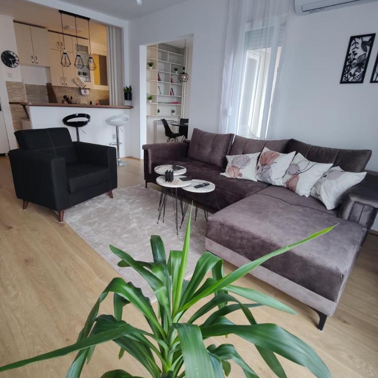 Black & White - Apartman sa 1 Spavaćom Sobom - 1