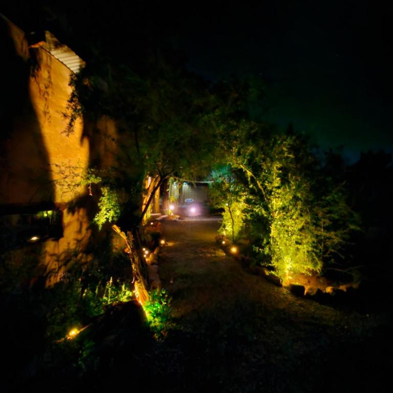 HOSTAL DON FELIX - Suite Superior con cama extragrande - 3