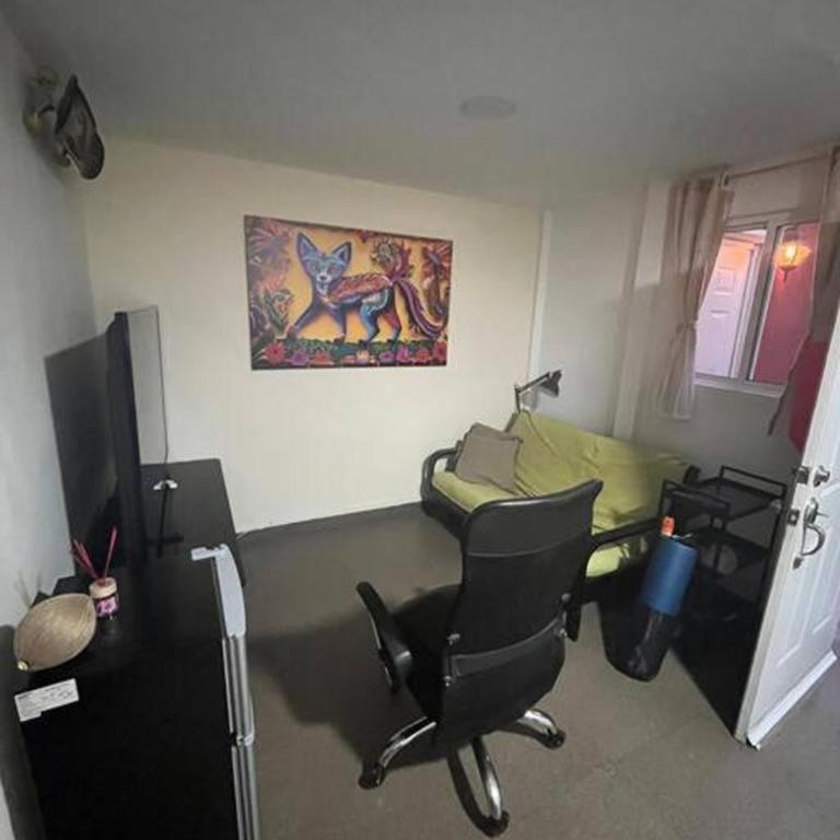 Súperanfitrión Coyoacán El Alebrije - One-Bedroom Apartment - 3