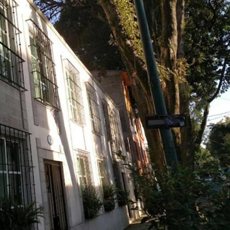 Súperanfitrión Coyoacán El Alebrije - One-Bedroom Apartment - 37
