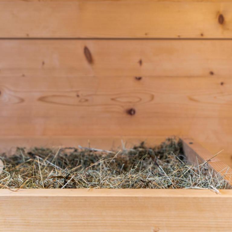Ciasa Iachin - Dolomites Dream Retreat - Appartamento Superior con Sauna - 24