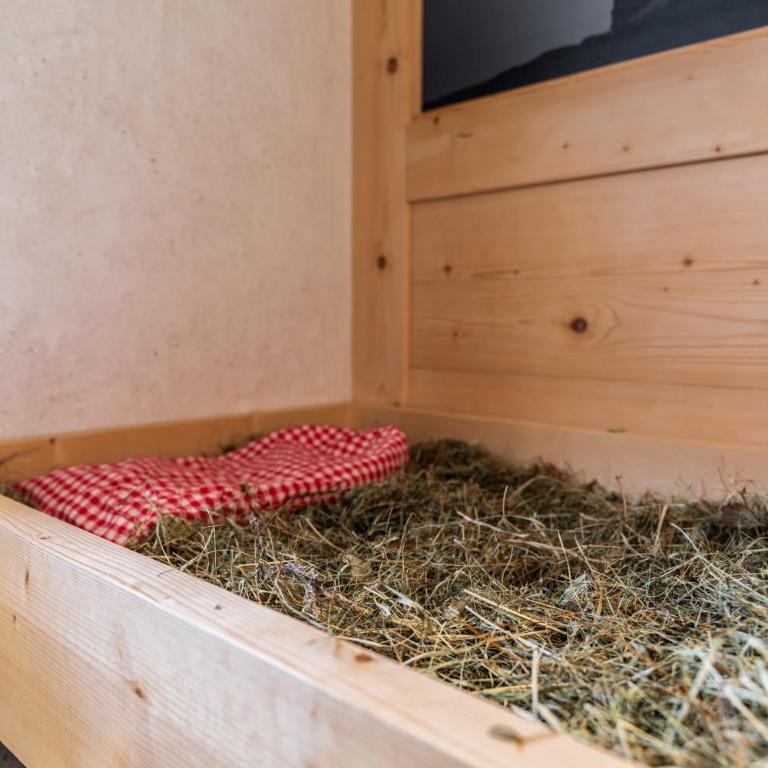 Ciasa Iachin - Dolomites Dream Retreat - Appartamento Superior con Sauna - 23