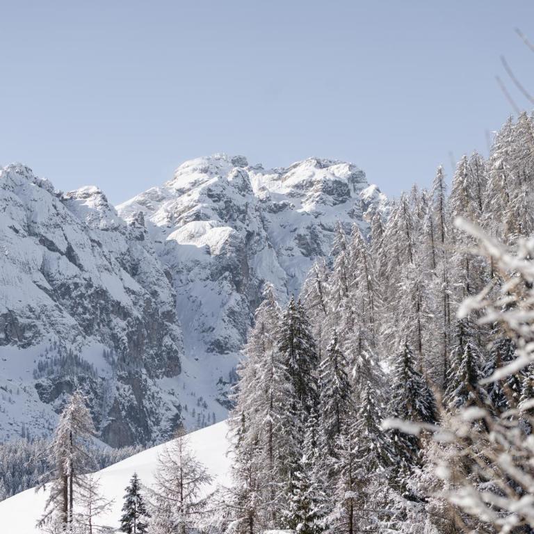 Ciasa Iachin - Dolomites Dream Retreat - Appartamento Superior con Sauna - 54