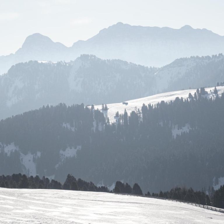 Ciasa Iachin - Dolomites Dream Retreat - Appartamento Superior con Sauna - 58