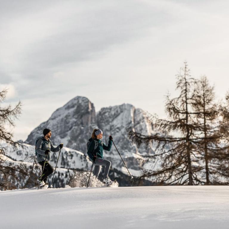 Ciasa Iachin - Dolomites Dream Retreat - Appartamento Superior con Sauna - 83
