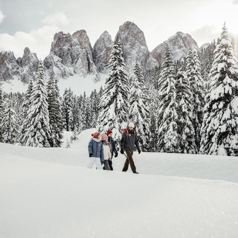 Ciasa Iachin - Dolomites Dream Retreat - Appartamento Superior con Sauna - 56