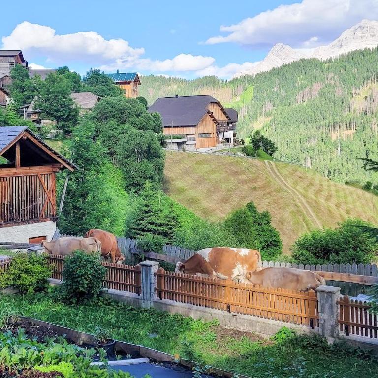 Ciasa Iachin - Dolomites Dream Retreat - Appartamento Superior con Sauna - 68