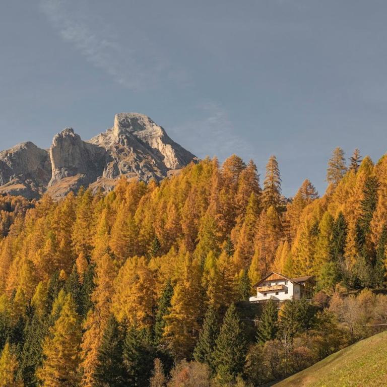 Ciasa Iachin - Dolomites Dream Retreat - Appartamento Superior con Sauna - 1