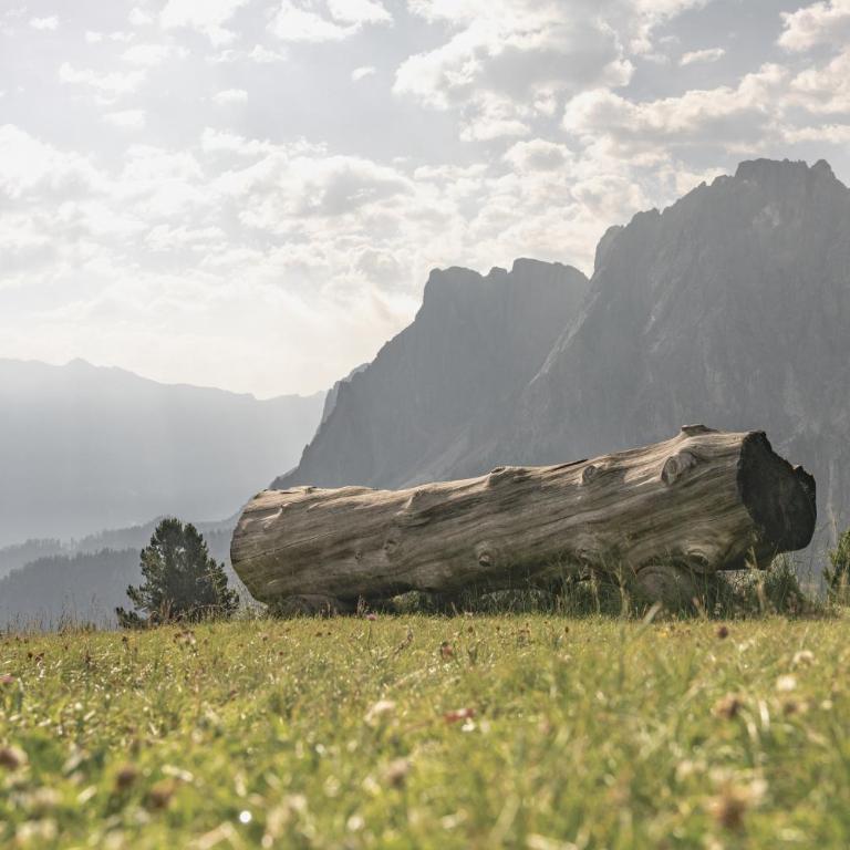 Ciasa Iachin - Dolomites Dream Retreat - Appartamento Superior con Sauna - 79