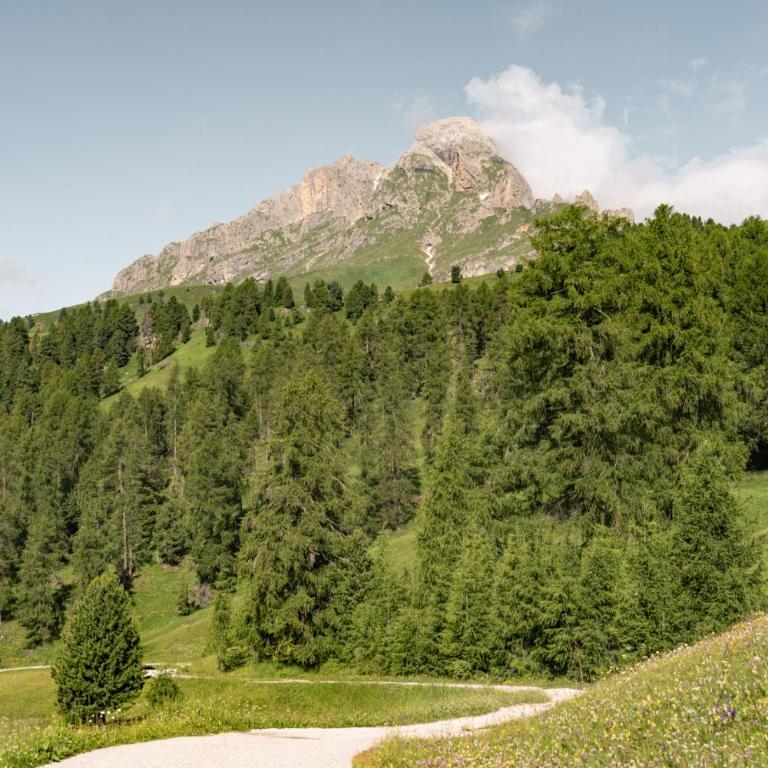 Ciasa Iachin - Dolomites Dream Retreat - Appartamento Superior con Sauna - 74