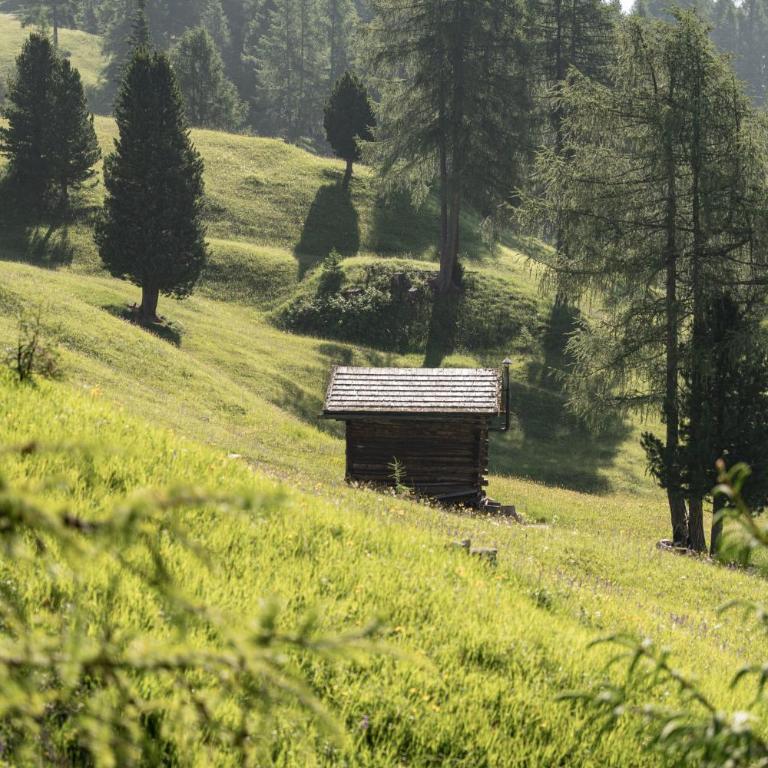Ciasa Iachin - Dolomites Dream Retreat - Appartamento Superior con Sauna - 73