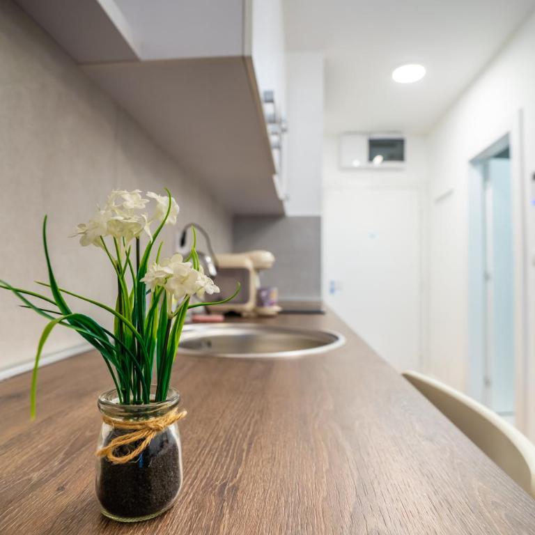 Delta Lux Apartman - Apartman sa 1 Spavaćom Sobom - 23