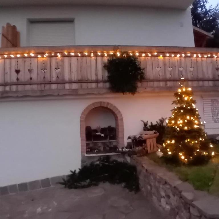 Cà sul dos - Appartamento con 1 Camera da Letto - 39