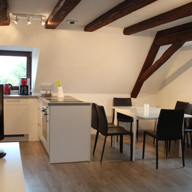 A L'ill - Apparts & Studios Strasbourg Hyper Centre - Appartamento Superior con Vista Fiume - 4