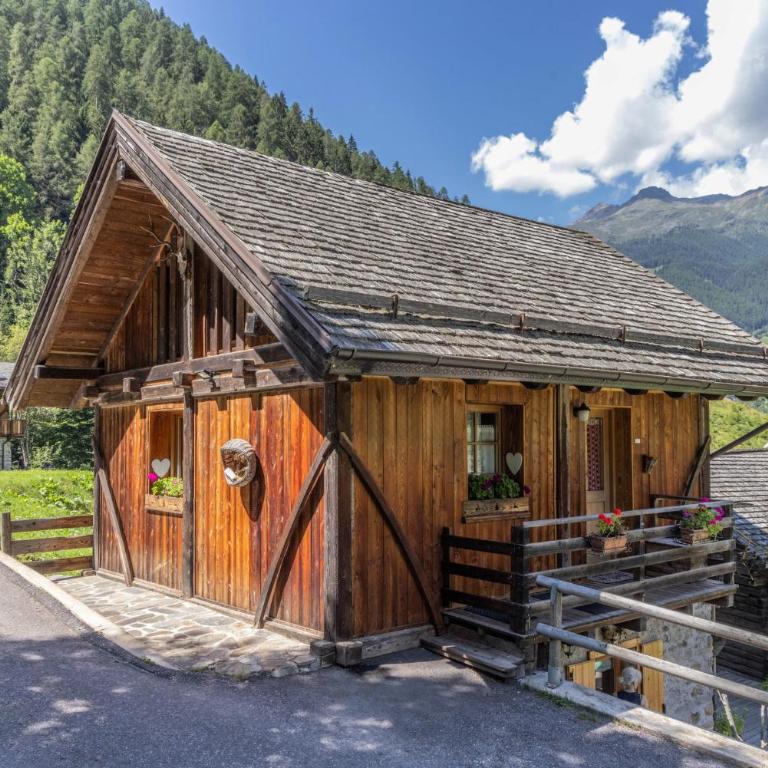 Baita Mas Sora Sass - Chalet de 2 dormitorios - 23