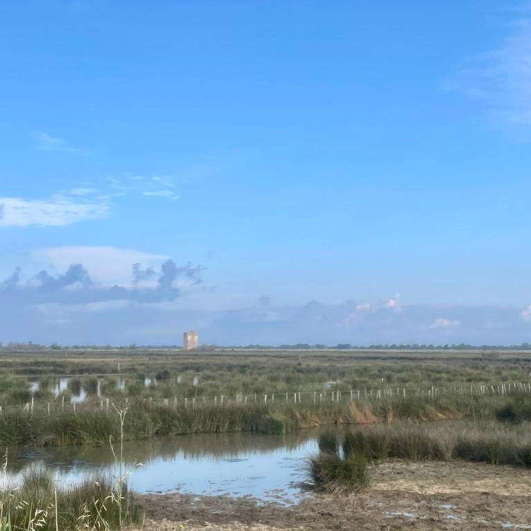 La Camargue Appartment mit Pool - Maison de Vacances - 28